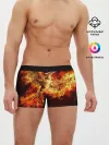 Мужские трусы боксеры / Феникс в огне