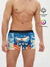 Мужские трусы боксеры / SNOW BOAR DING