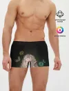 Мужские трусы боксеры / Эльфийка и звезды