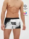 Мужские трусы боксеры / PUBG.