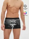 Мужские трусы боксеры / Hollywood Undead