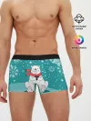 Мужские трусы боксеры / North bear