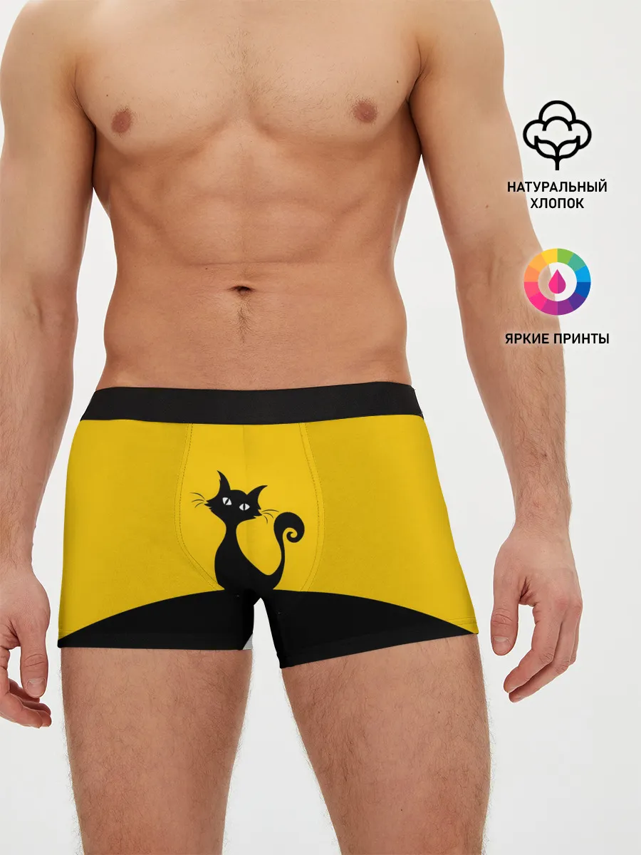 Мужские трусы боксеры / Гордый кот.