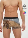 Мужские трусы боксеры / Horizon Zero Dawn