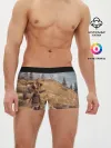Мужские трусы боксеры / Horizon Zero Dawn