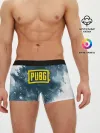 Мужские трусы боксеры / PUBG BW