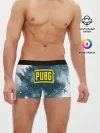 Мужские трусы боксеры / PUBG BW