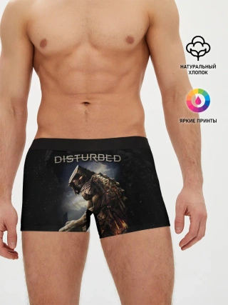 Мужские трусы боксеры / Disturbed
