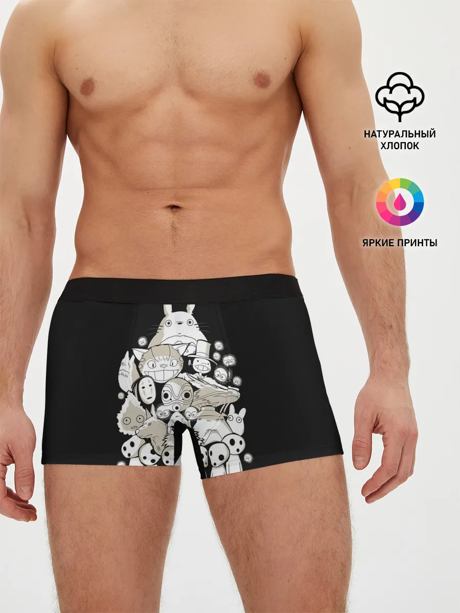 Мужские трусы боксеры / Герои Миядзаки