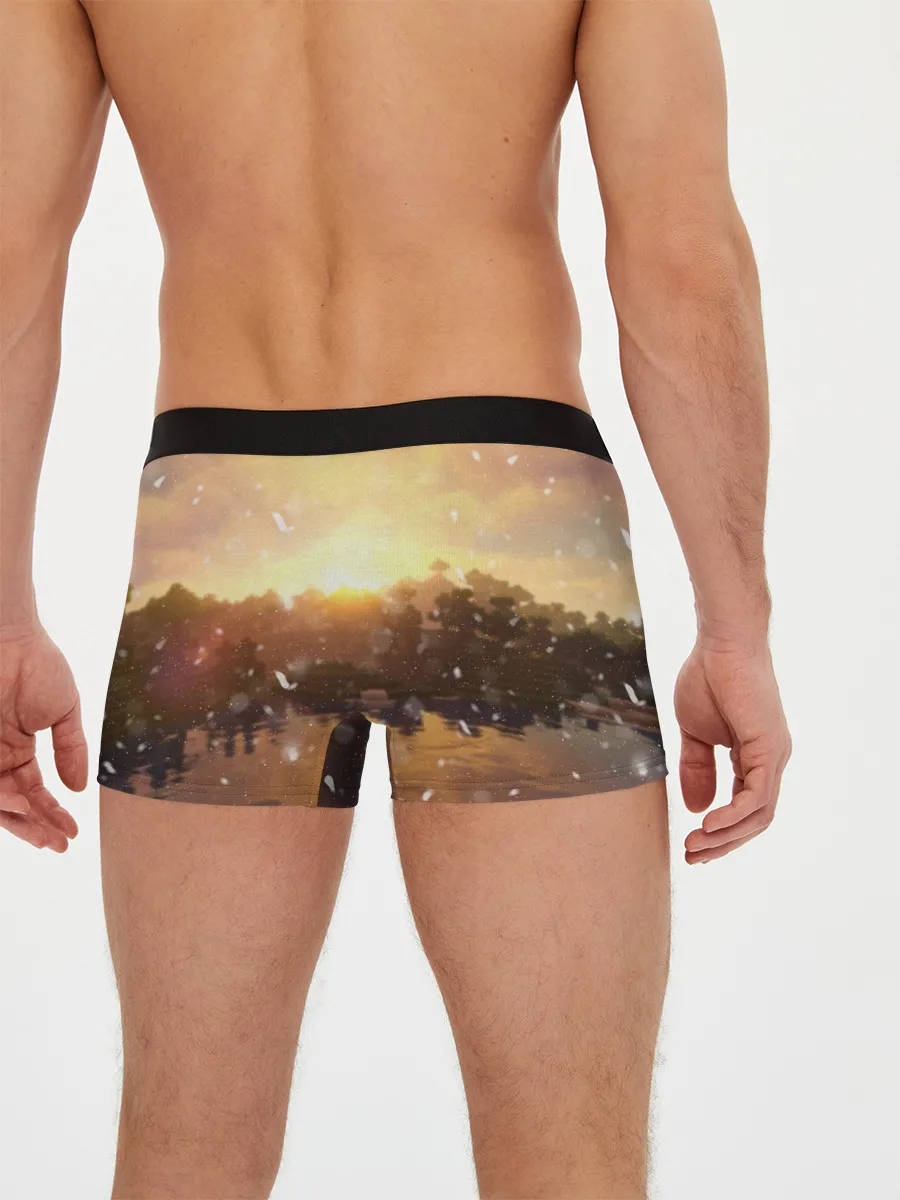 Мужские трусы боксеры / Minecraft / Майнкрафт