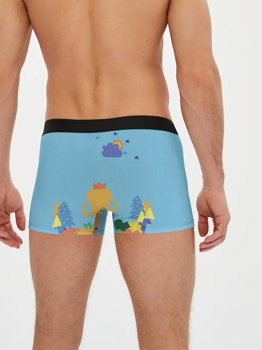 Мужские трусы боксеры / Время приключений Winter