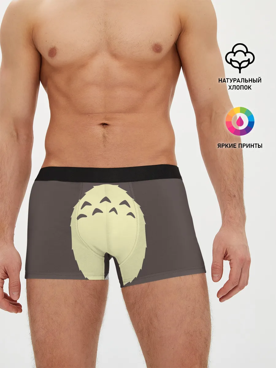 Мужские трусы боксеры / Животик Тоторо