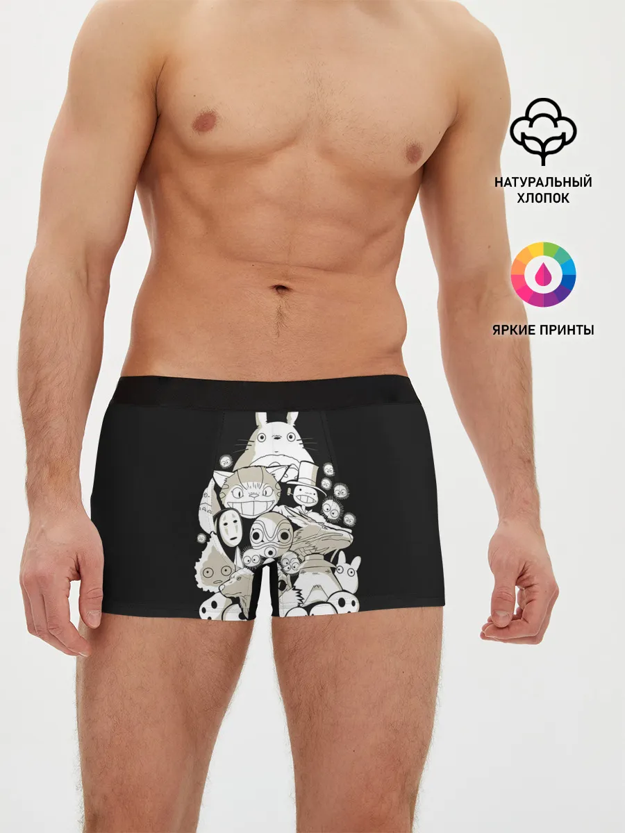 Мужские трусы боксеры / Totoro