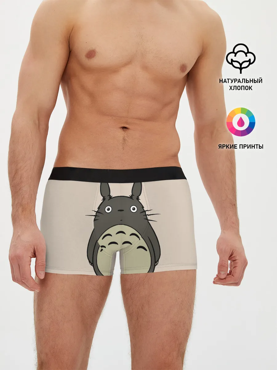 Мужские трусы боксеры / Тоторо