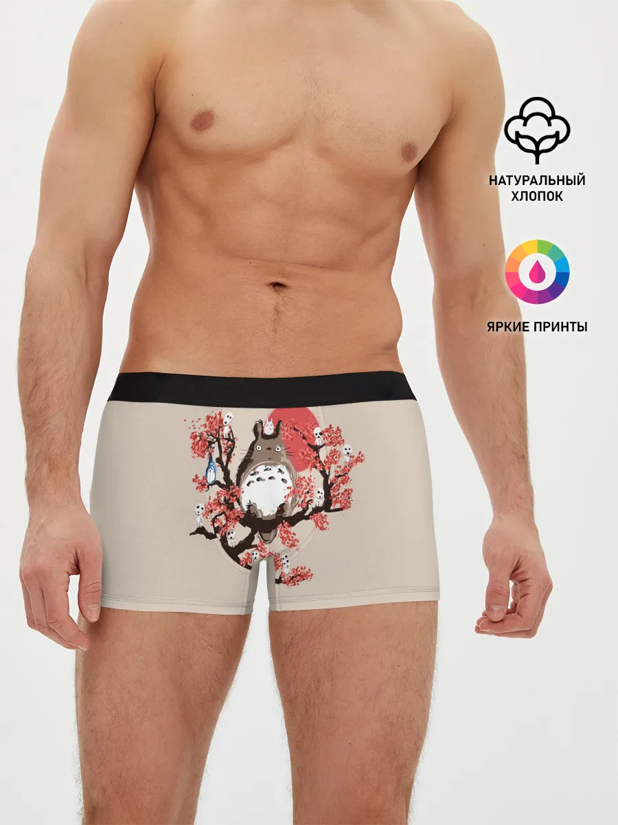 Мужские трусы боксеры / Totoro