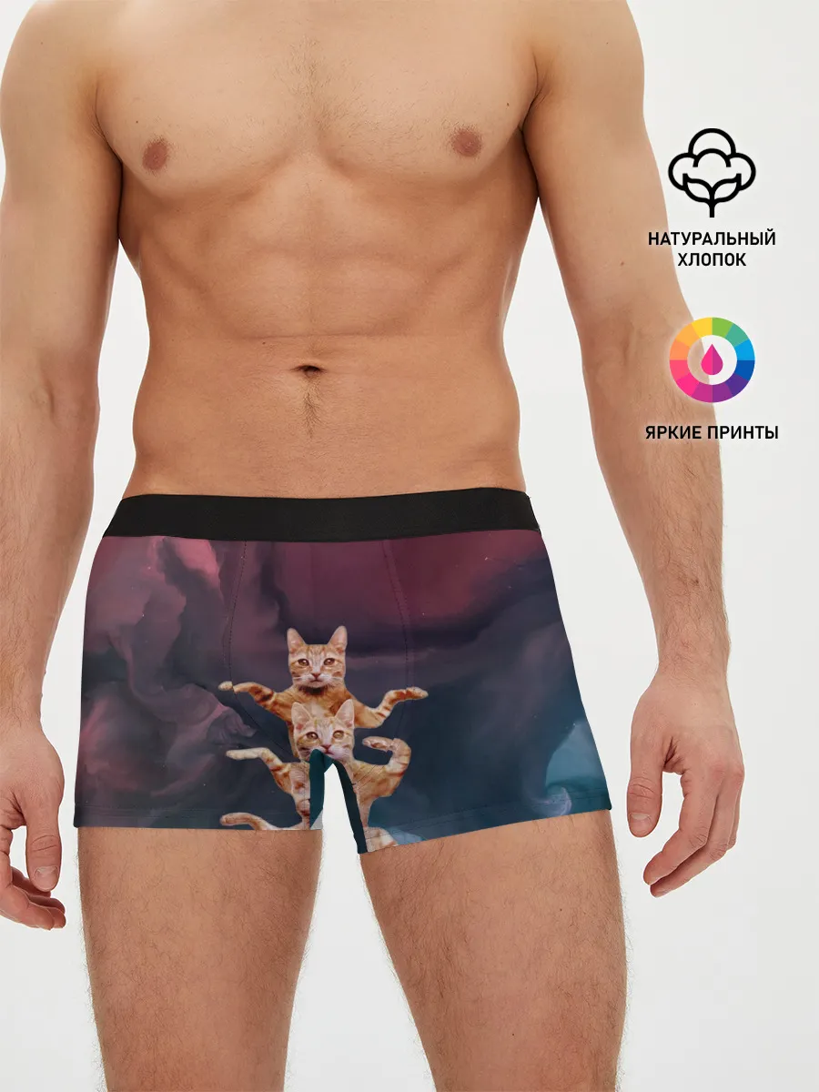 Мужские трусы боксеры / Танцующие коты