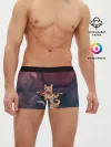 Мужские трусы боксеры / Танцующие коты