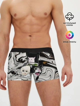 Мужские трусы боксеры / woman yelling at cat