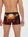 Мужские трусы боксеры / АРИЯ