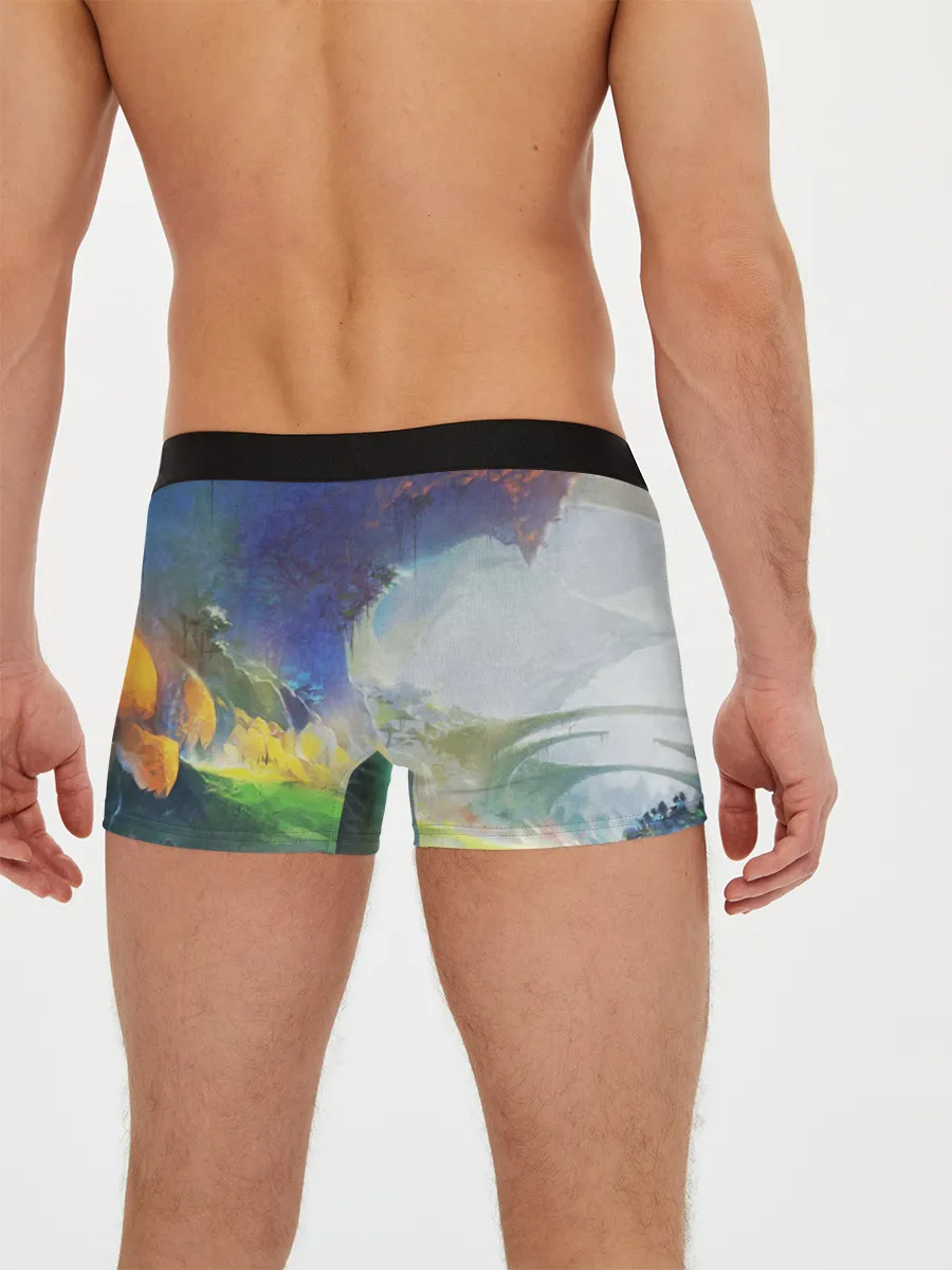 Мужские трусы боксеры / Zoomorph PW