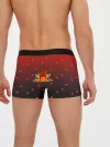 Мужские трусы боксеры / Flame Princess