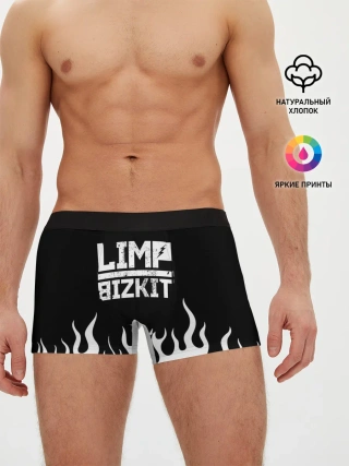 Мужские трусы боксеры / Limp Bizkit