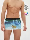 Мужские трусы боксеры / Finn on Jake