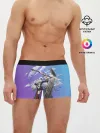 Мужские трусы боксеры / Azur Lane Enterprise and Yorktown