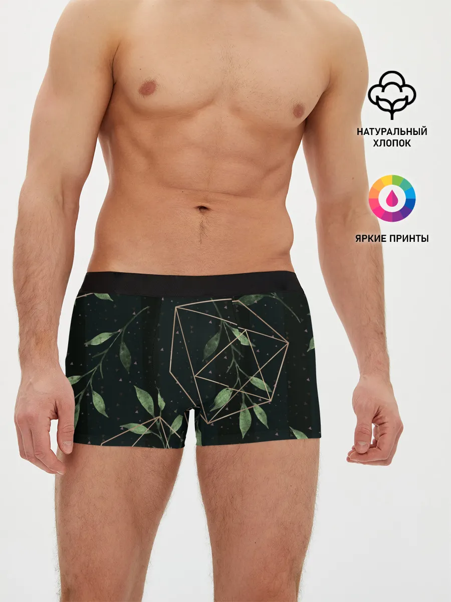 Мужские трусы боксеры / Геометрия в природе
