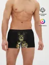 Мужские трусы боксеры / Five Nights At Freddys