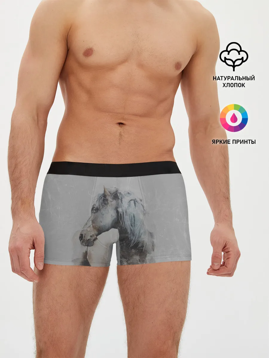 Мужские трусы боксеры / лошадь