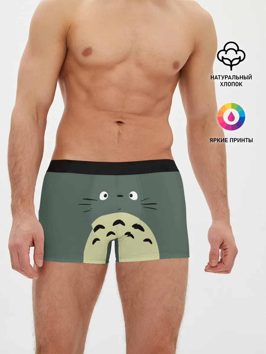 Мужские трусы боксеры / totoro