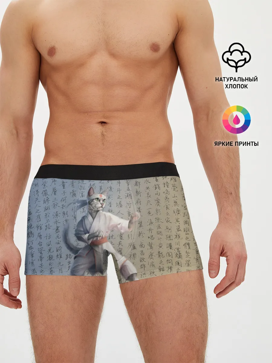 Мужские трусы боксеры / Karate cat