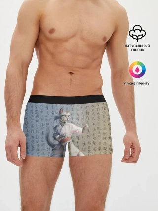 Мужские трусы боксеры / Karate cat