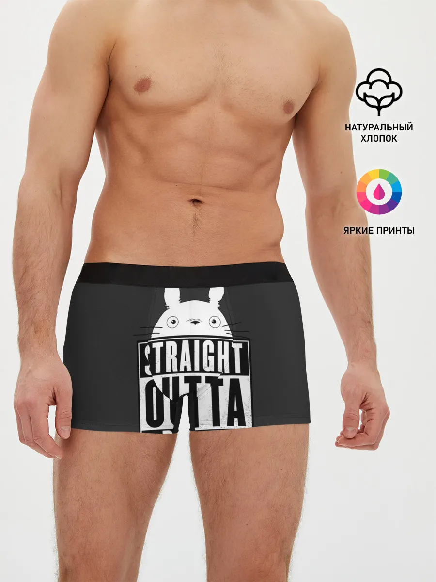 Мужские трусы боксеры / Тоторо Straight outta dream