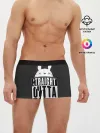 Мужские трусы боксеры / Тоторо Straight outta dream