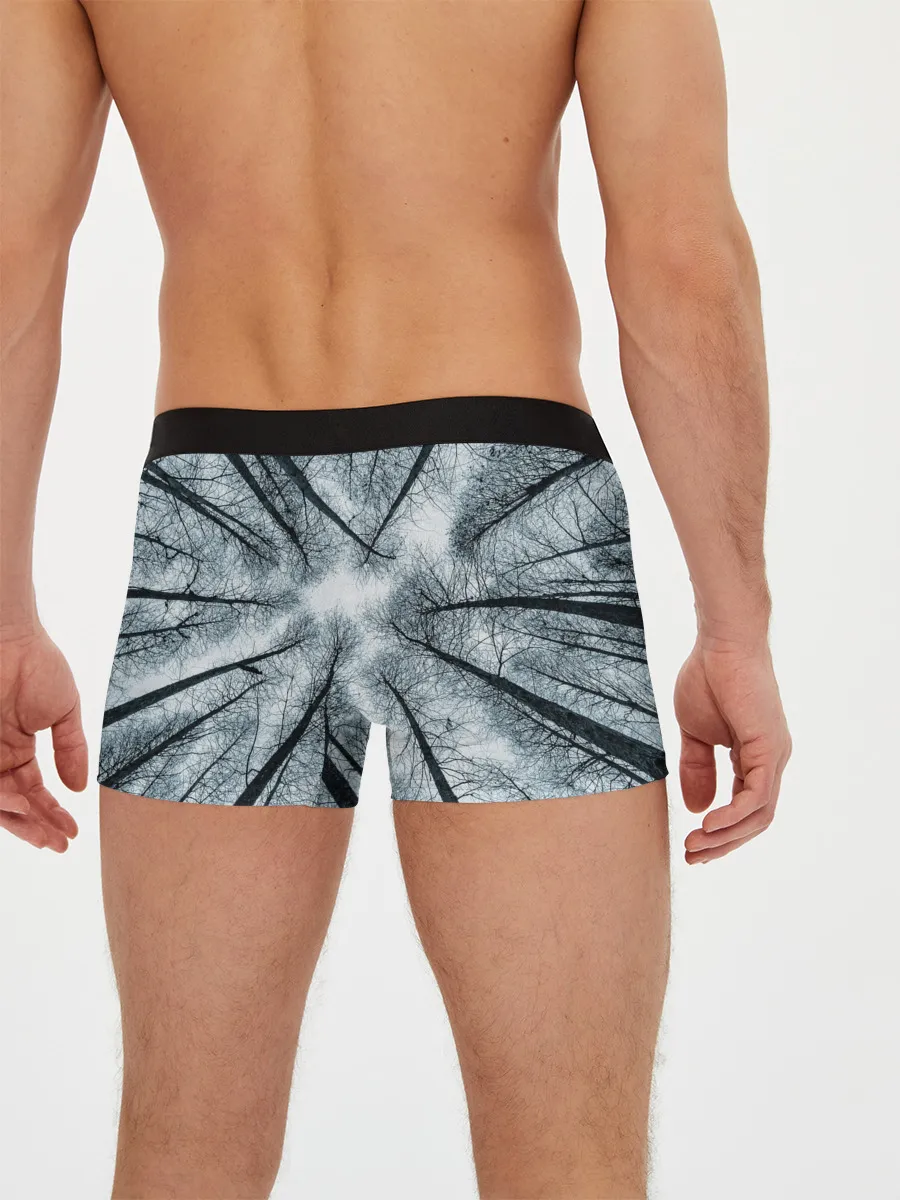 Мужские трусы боксеры / Деревья вид снизу мрачный