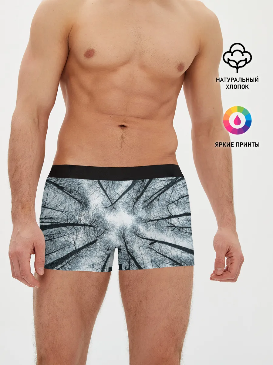 Мужские трусы боксеры / Деревья вид снизу мрачный