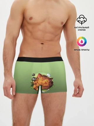 Мужские трусы боксеры / Catbus Studio Ghibli Котобус
