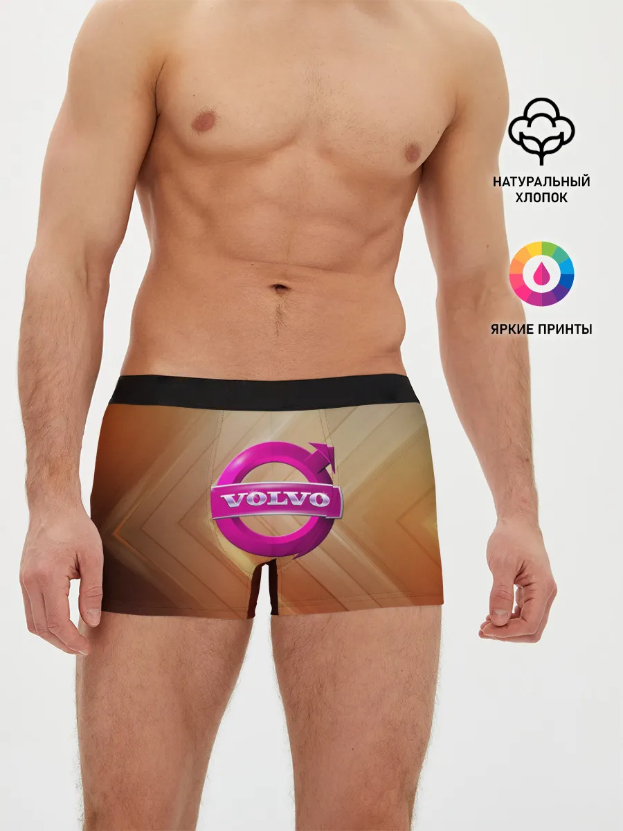 Мужские трусы боксеры / volvo