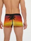 Мужские трусы боксеры / ТРОПИЧЕСКИЕ ПАЛЬМЫ.