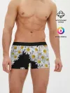 Мужские трусы боксеры / Ромашковая россыпь