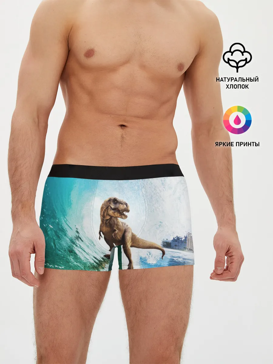Мужские трусы боксеры / Тираннозавр REX | Серфинг
