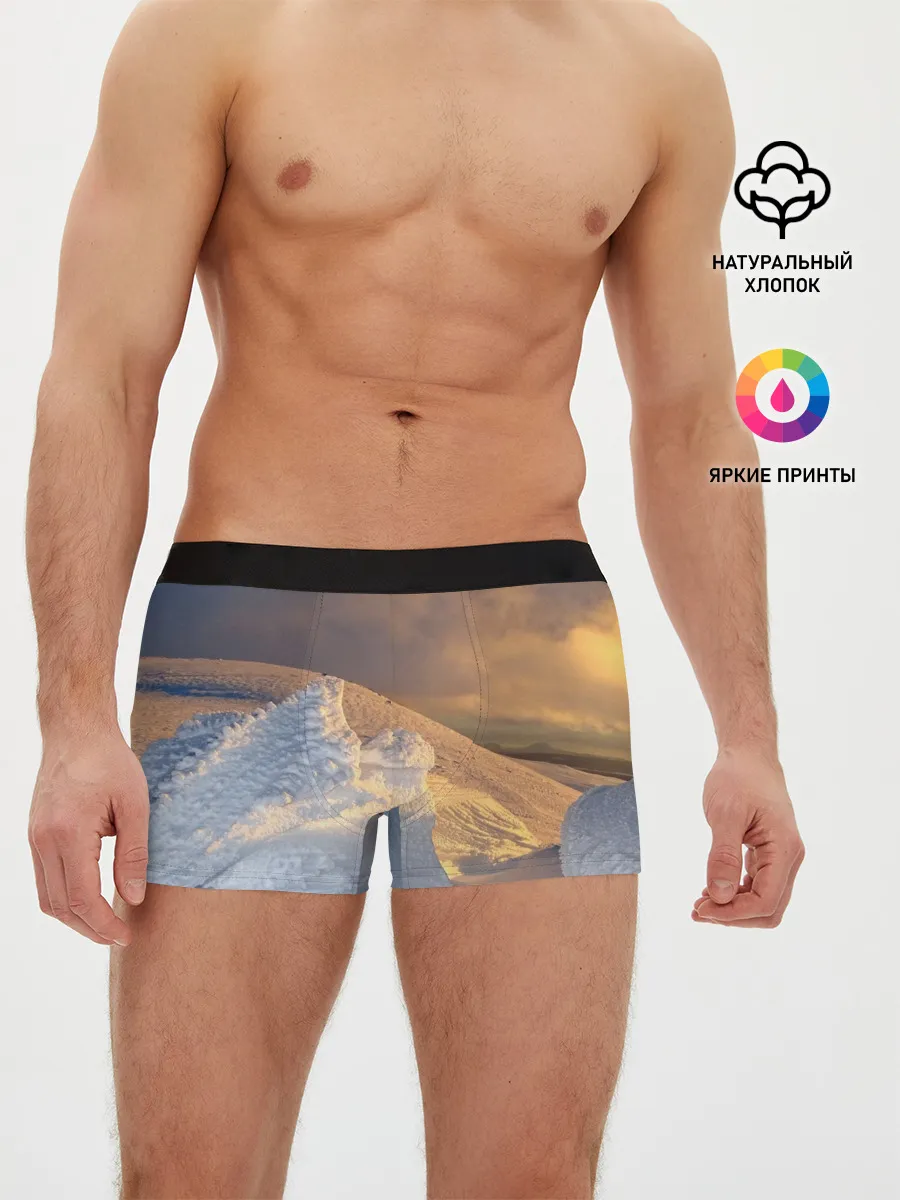 Мужские трусы боксеры / Снежная долина