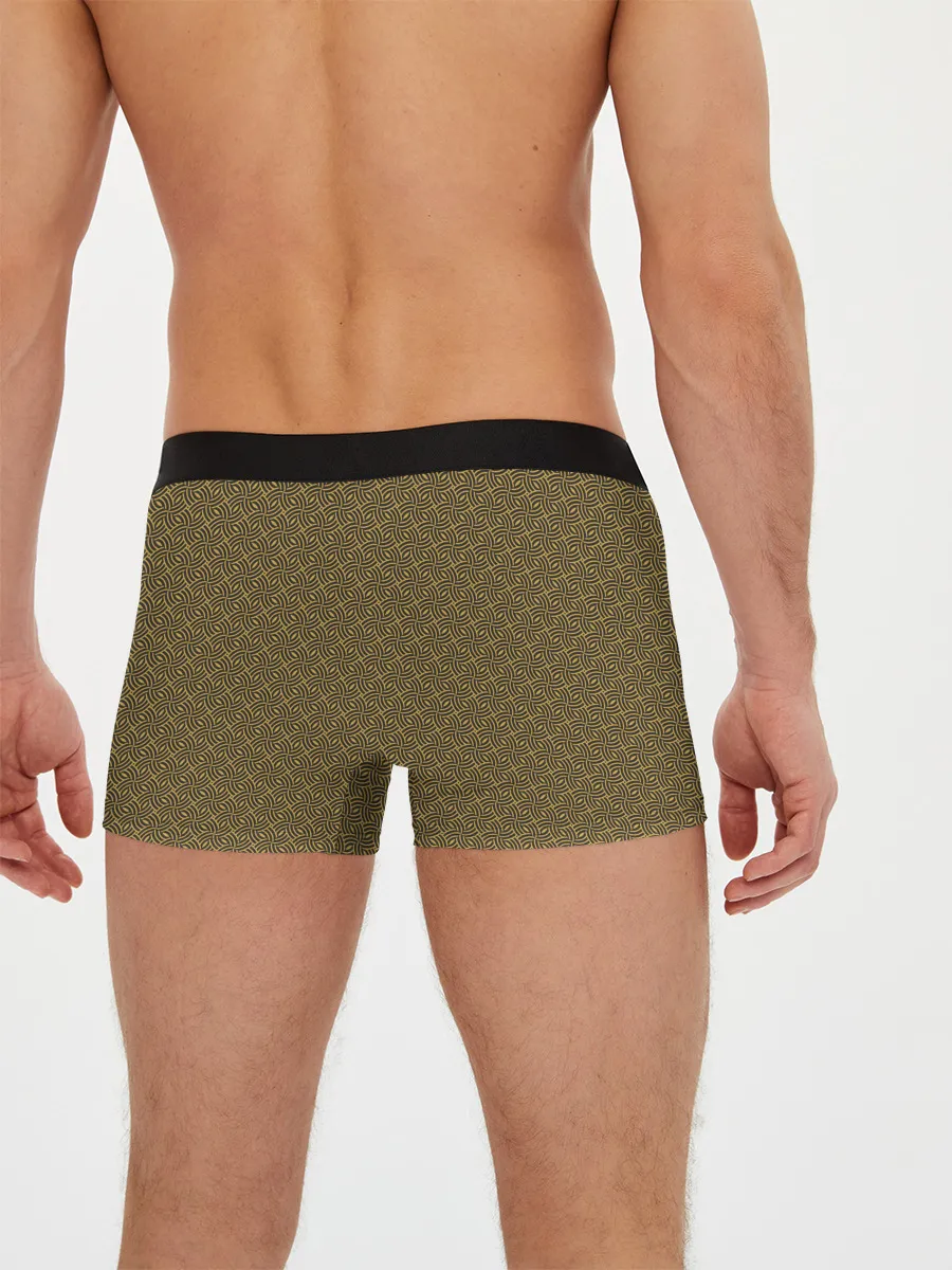 Мужские трусы боксеры / Золотой лев на кресте