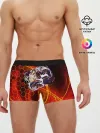 Мужские трусы боксеры / Ван Пис | Луффи 4 гир
