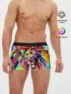 Мужские трусы боксеры / Лев Artistic Art