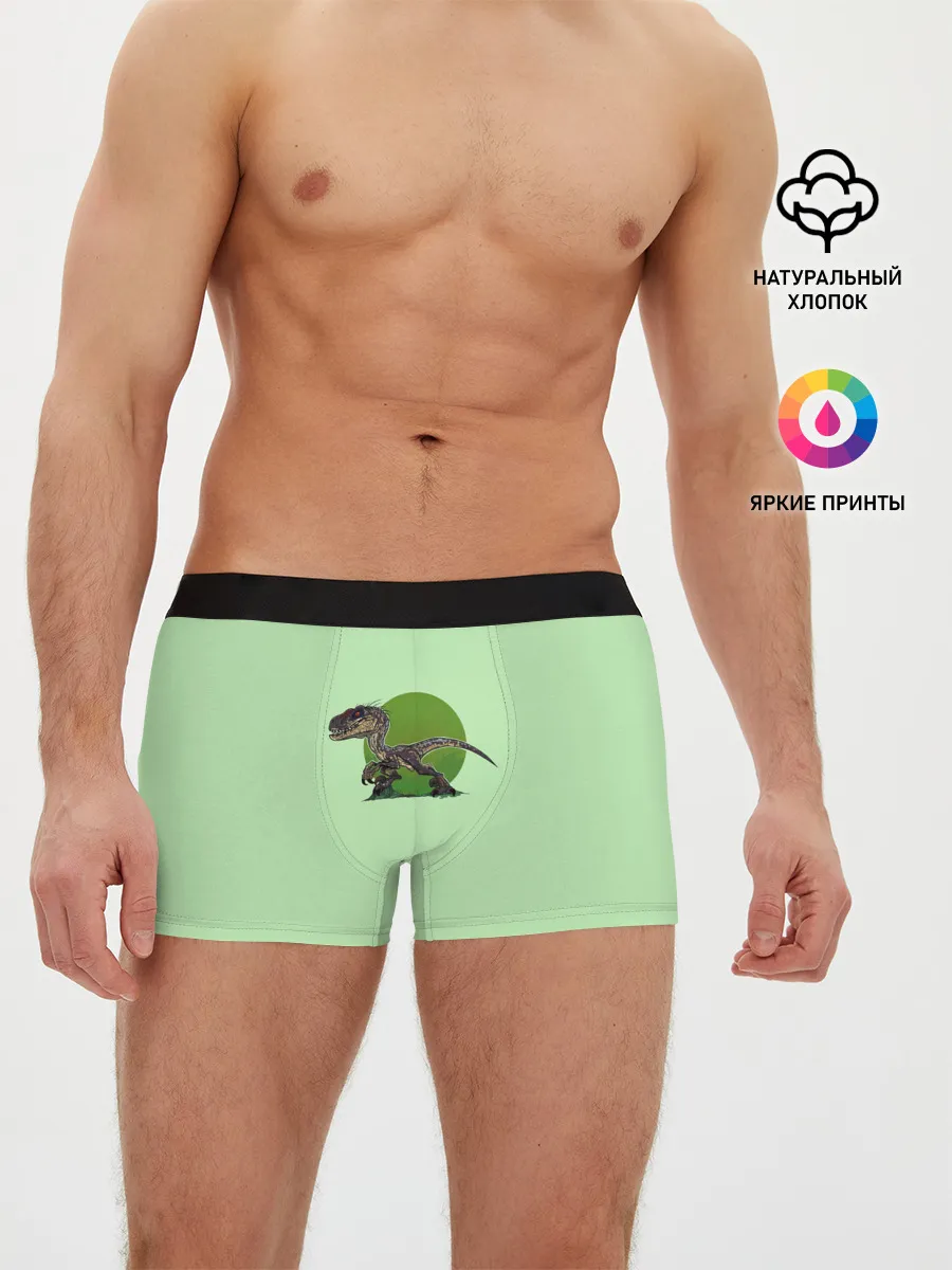 Мужские трусы боксеры / IndoR