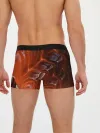 Мужские трусы боксеры / Дракон Лавы