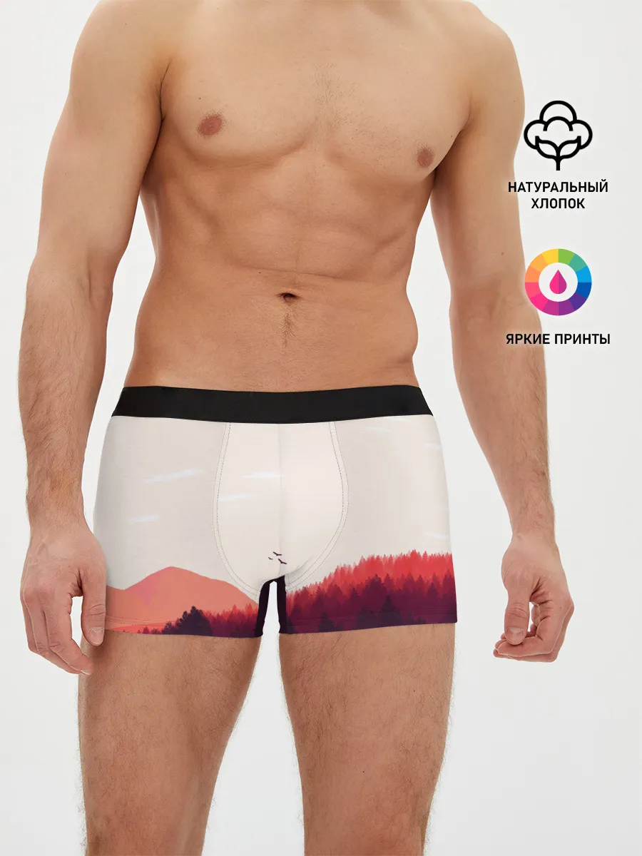 Мужские трусы боксеры / Пейзаж №1